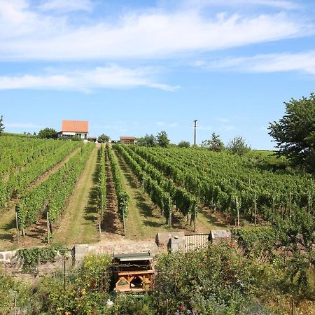 La Belle Alsacienne - Route Des Vins D'Alsace Hotel Hattstatt Esterno foto