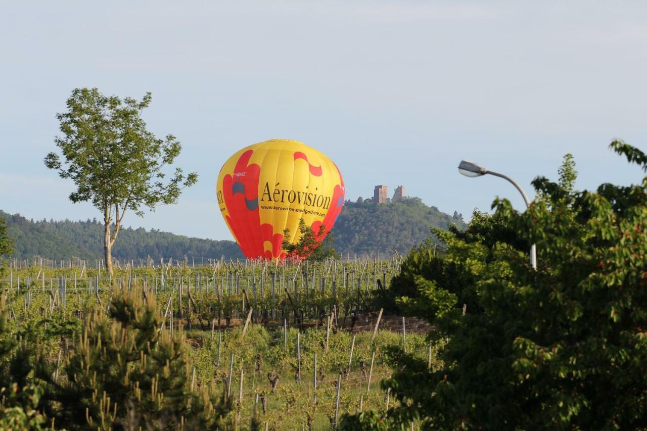 La Belle Alsacienne - Route Des Vins D'Alsace Hotel Hattstatt Camera foto