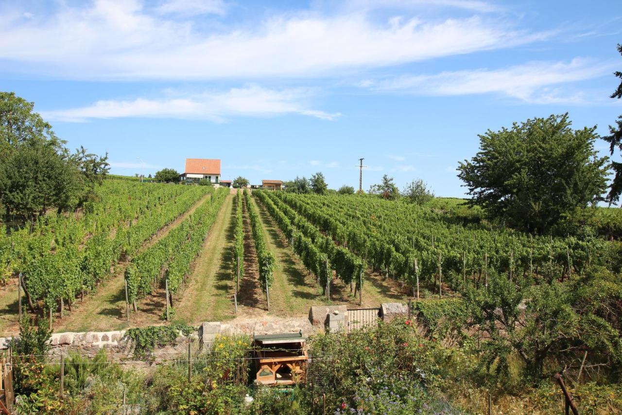La Belle Alsacienne - Route Des Vins D'Alsace Hotel Hattstatt Esterno foto